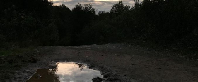 reflejarnos en la vida